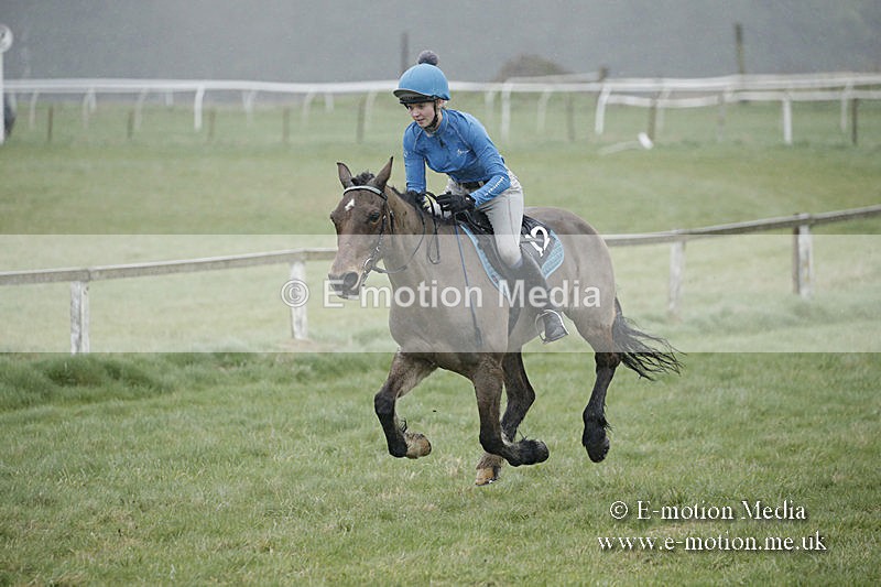 PtP 150320 0111 - New Forest Point-to-Point Larkhill 15/03/20