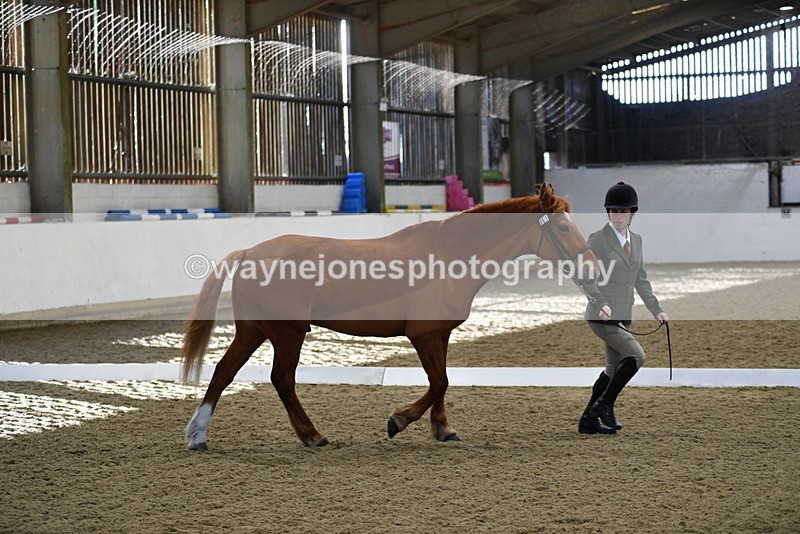 WJ5_3668 - Class 5 In Hand Veterans