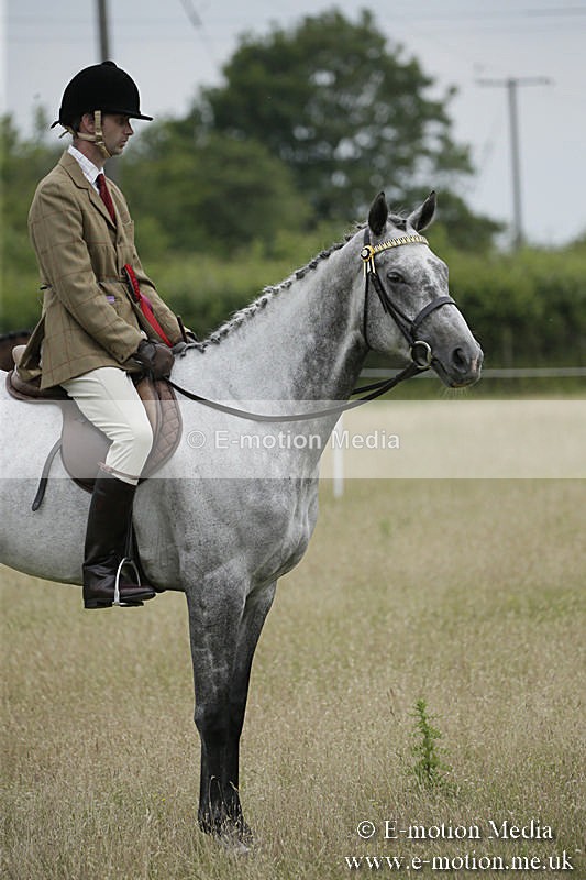 B230619-0950 - Bourne Valley Riding Club Summer Show 23/06/19