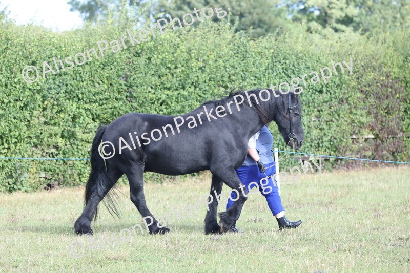 20250831-1319 - Class 21 - Inhand Open