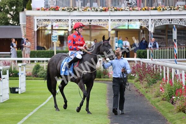 yr23072021r6-26 - Race 6 8.30pm Sky Bet Go-Racing-In-Yorkshire Summer Festival Stakes