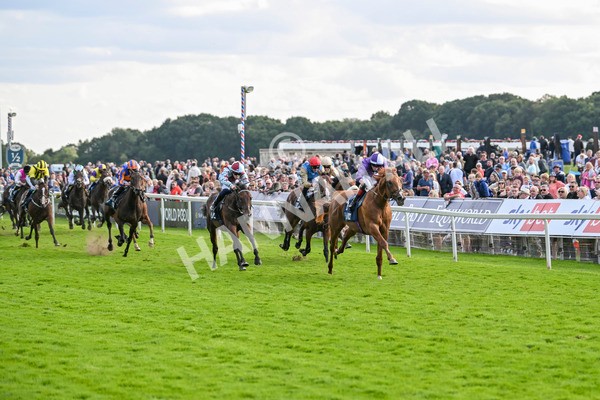 230824-Race 6-Angelo Buonarroti-9868 - Race 6 4.45pm British Stallion Studs EBF Convivial Maiden Stakes