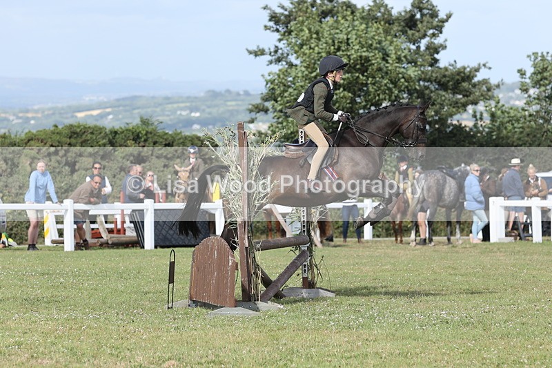 JPP_2778 - Class 20: Working Hunter 70cm