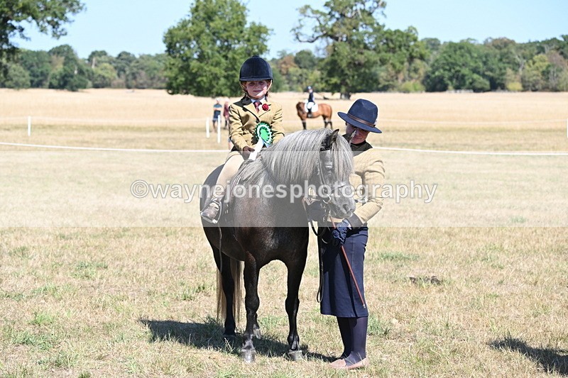 WJ6_8151 - Class 36 Lead Rein