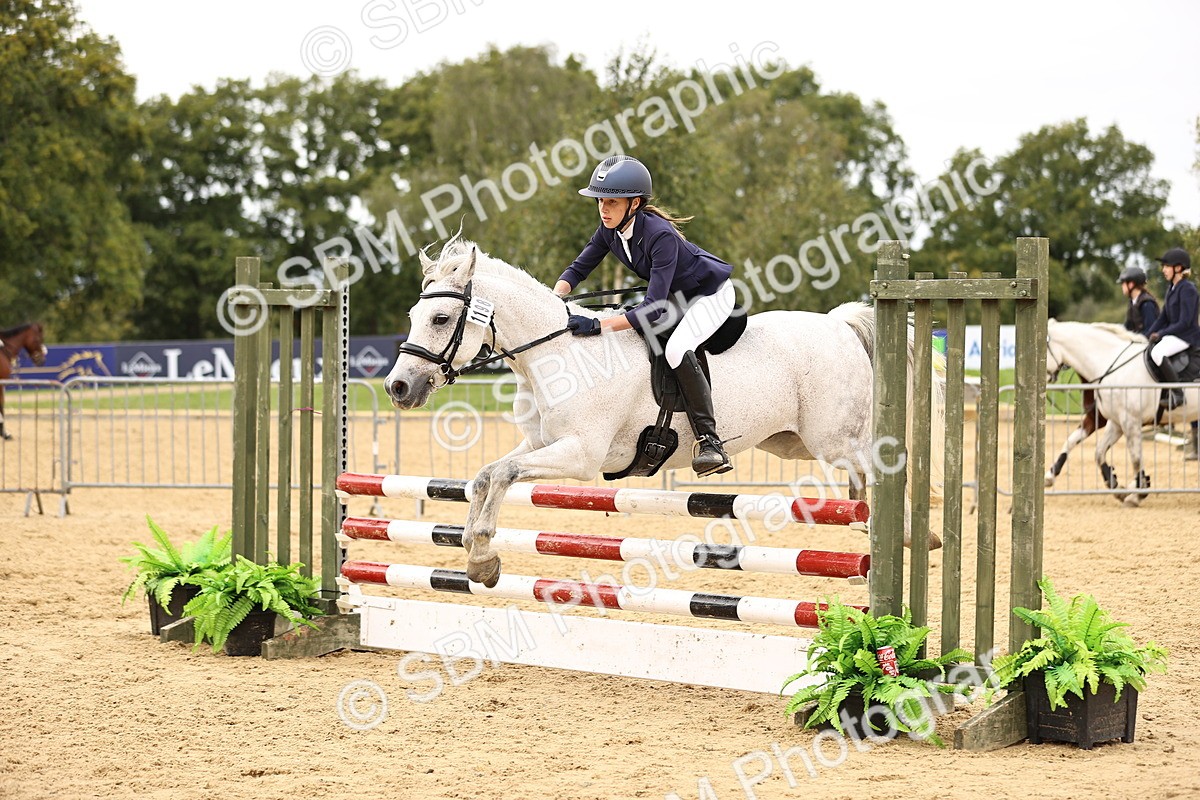 SBM_66613 - J17 - Junior Pony 80cm Championship