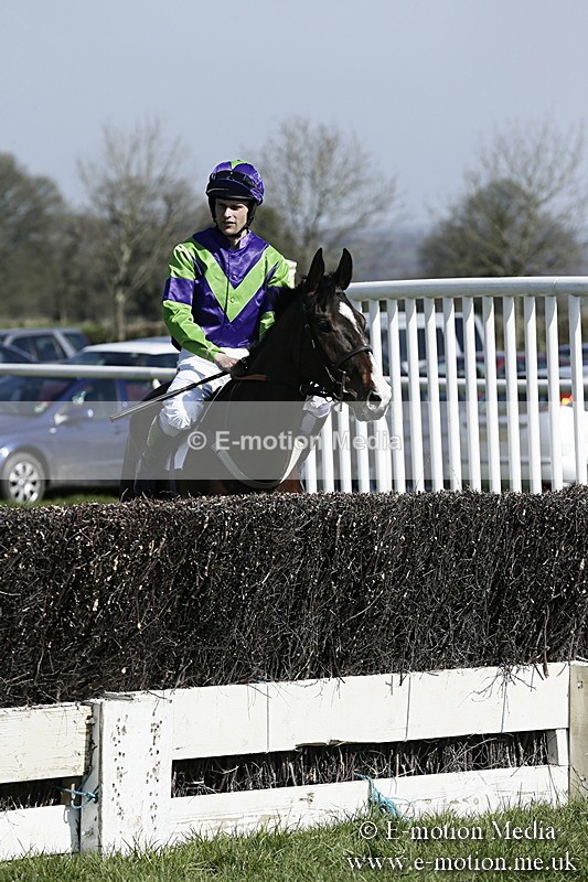 PtP 260317 33 - Mendip Farmers Point-to-Point Ston Easton 26/03/17