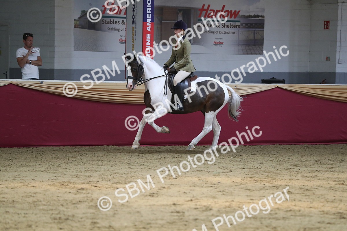 SBM_08425 - Class 11R Regional Ridden Veteran