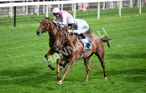 210825-180 Charlottes Web - Race 5 4.10pm British EBF & Sir Henry Cecil Galtres Stakes