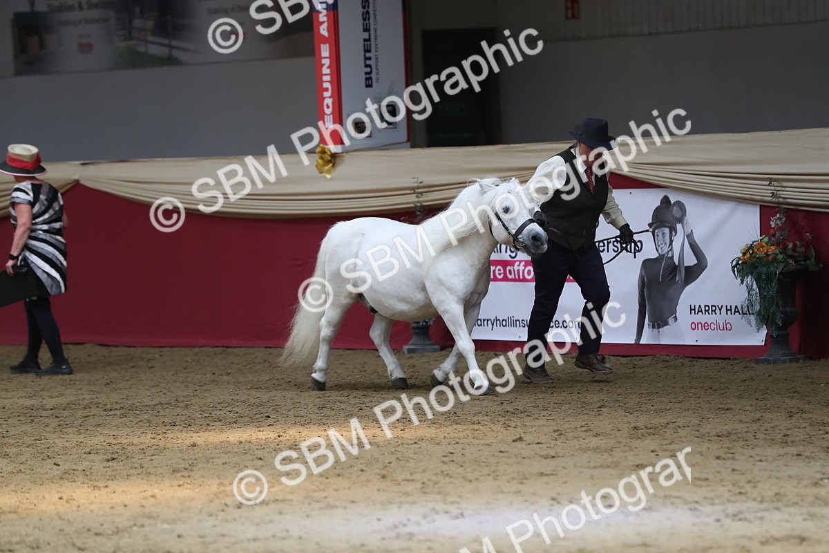 SBM_04915 - Class 8R- Regional -IH Veteran