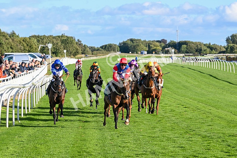 100924-Race 7-Desert Dream-0695 - Race 7