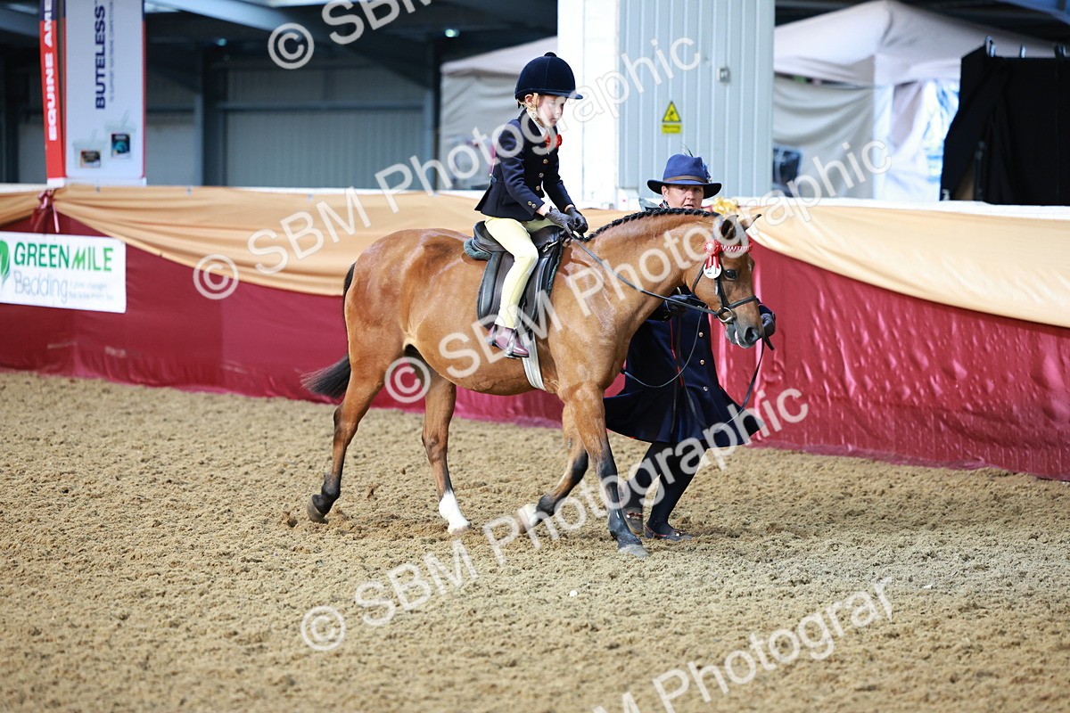 SBM_10699 - Class 101 - Equitation (Best Rider)