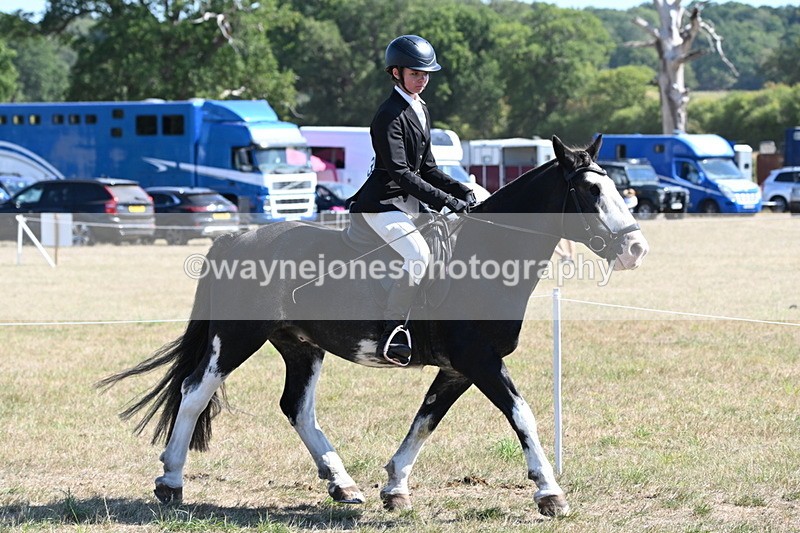 WJ6_8214 - Class 37a Best Loan Pony Ridden