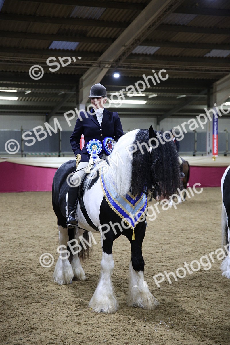 5K7A1532 - Class M Ridden Pairs Champ