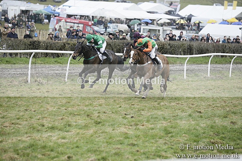 PtP 020418 -246 - Old Berks Point-to-Point Races Easter Monday 02/04/18