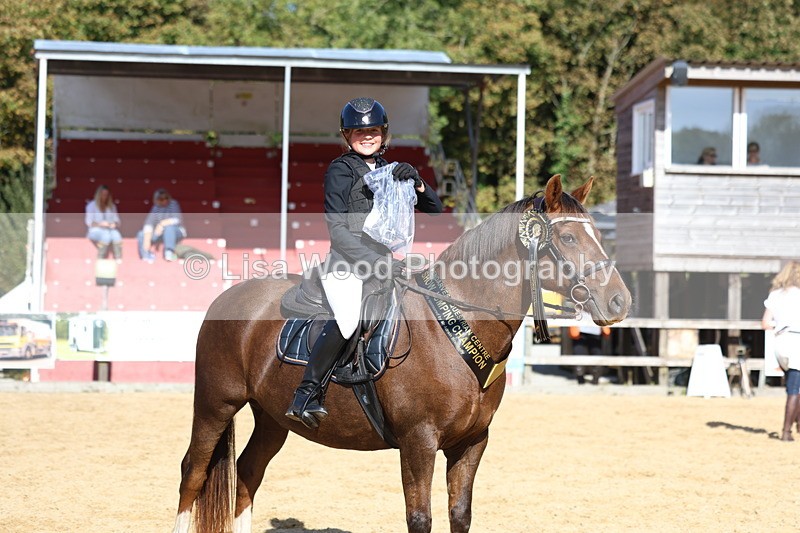 3E7A4833 - Class 8: 80cm Junior