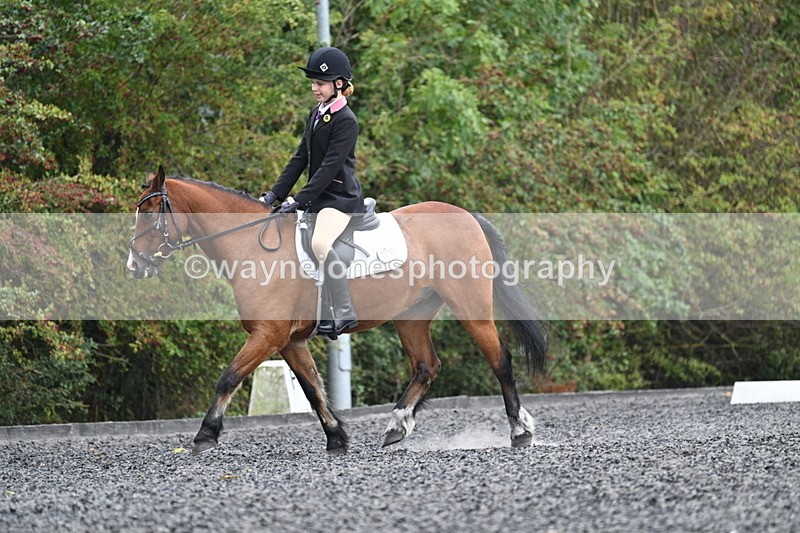 WJ7_3934 - Time 11:04 to 11:38