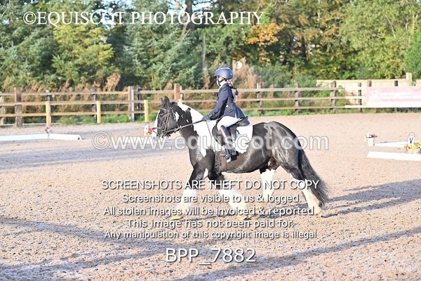 BPP_7882 - LONG ARENA PC70