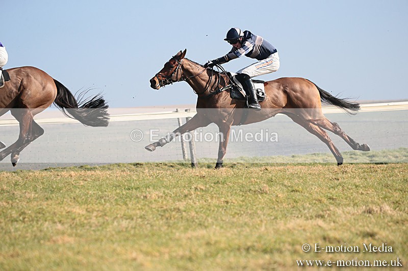 PtP 230219 107 - Vine & Craven Point-To-Point - Barbury 23/02/19
