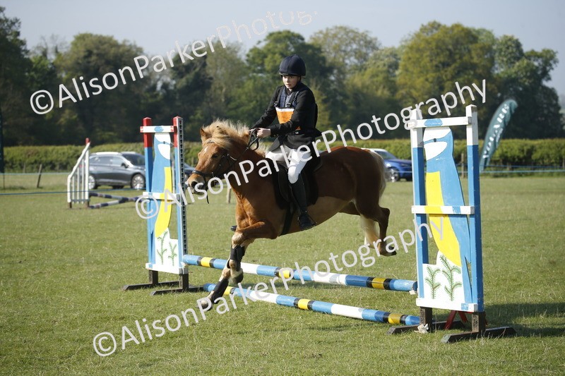 20250427-0251 - Class 12 - Rookie Jumping 40cm