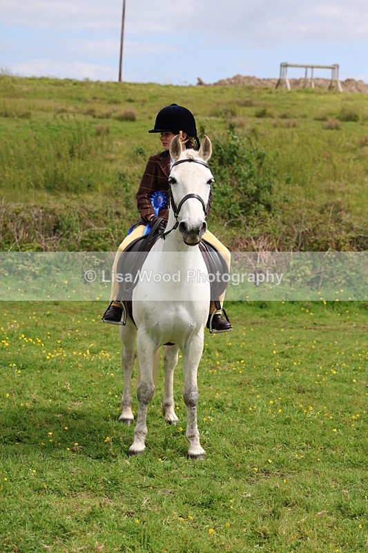 3E7A1611 - Class 8: Ridden Veteran Junoir and Senior