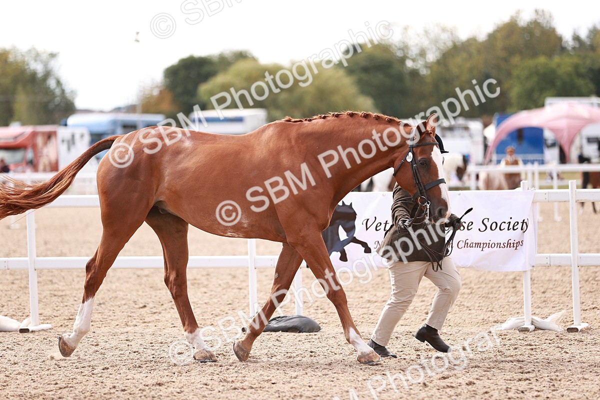 SBM_13385 - class 406 - IH Hunter