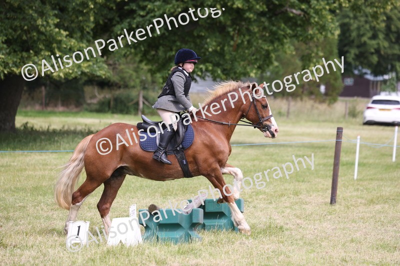 20260614-4063 - Class 24 - Mini and Major Pairs Jumping