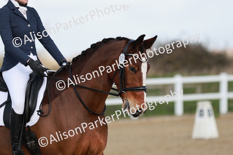 20260314-1067 - DR2 - Intro 3