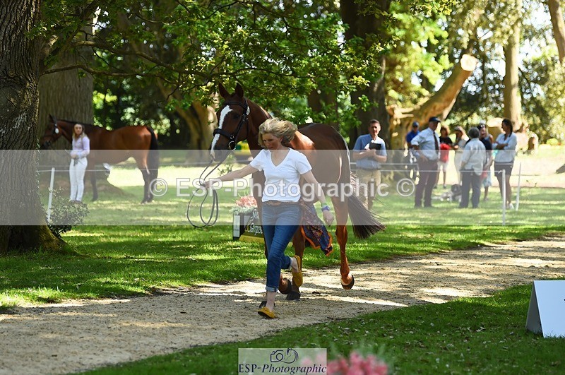 230524-152622-00266 - 328-GREENLOUGH_CROSS-Kelly_Mccarthy-maine-WEDTrotUp+DR