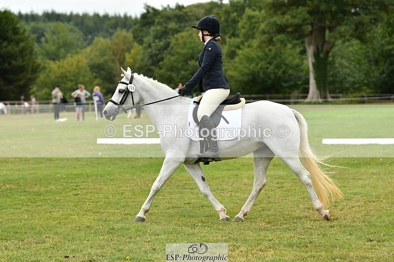 250820A-121715-05537 - 12 to 13.00