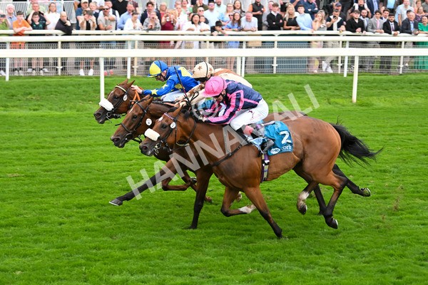 080925-Race 3-Rock N Roll Pinkie-7541 - Race 3 3.30pm Skybet Proud To Support ROR Stayers Handicap