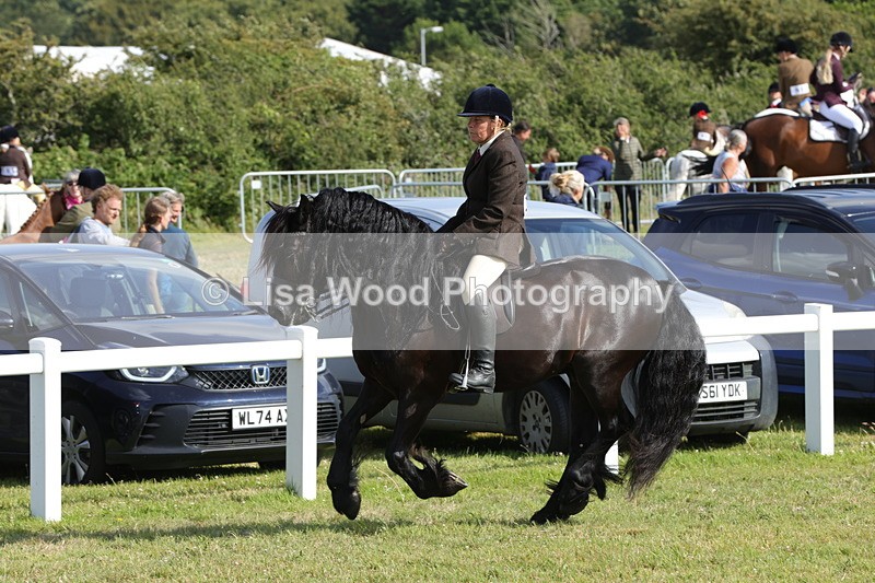1X9A5987 - Class 42: NPS Dales, Fell, Highland