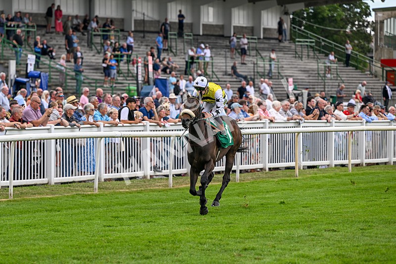 010726-Race 2-Arapaho Gold-7763 - Race 2 13.38pm British EBF Restricted Novice Stakes (Div II)