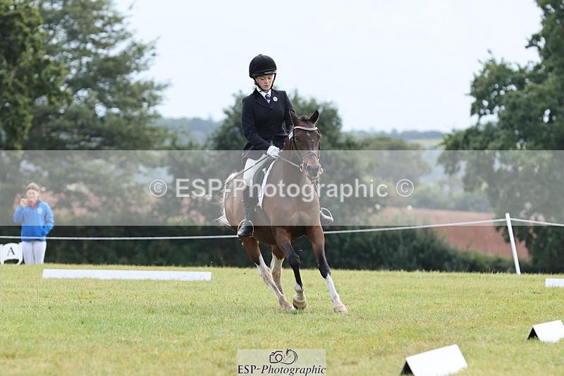 240824X-110521-26838 - D70 Section C and D 9.30 to 11.00