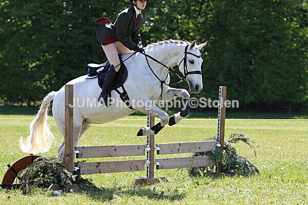 IMG_3536 - Working Hunter