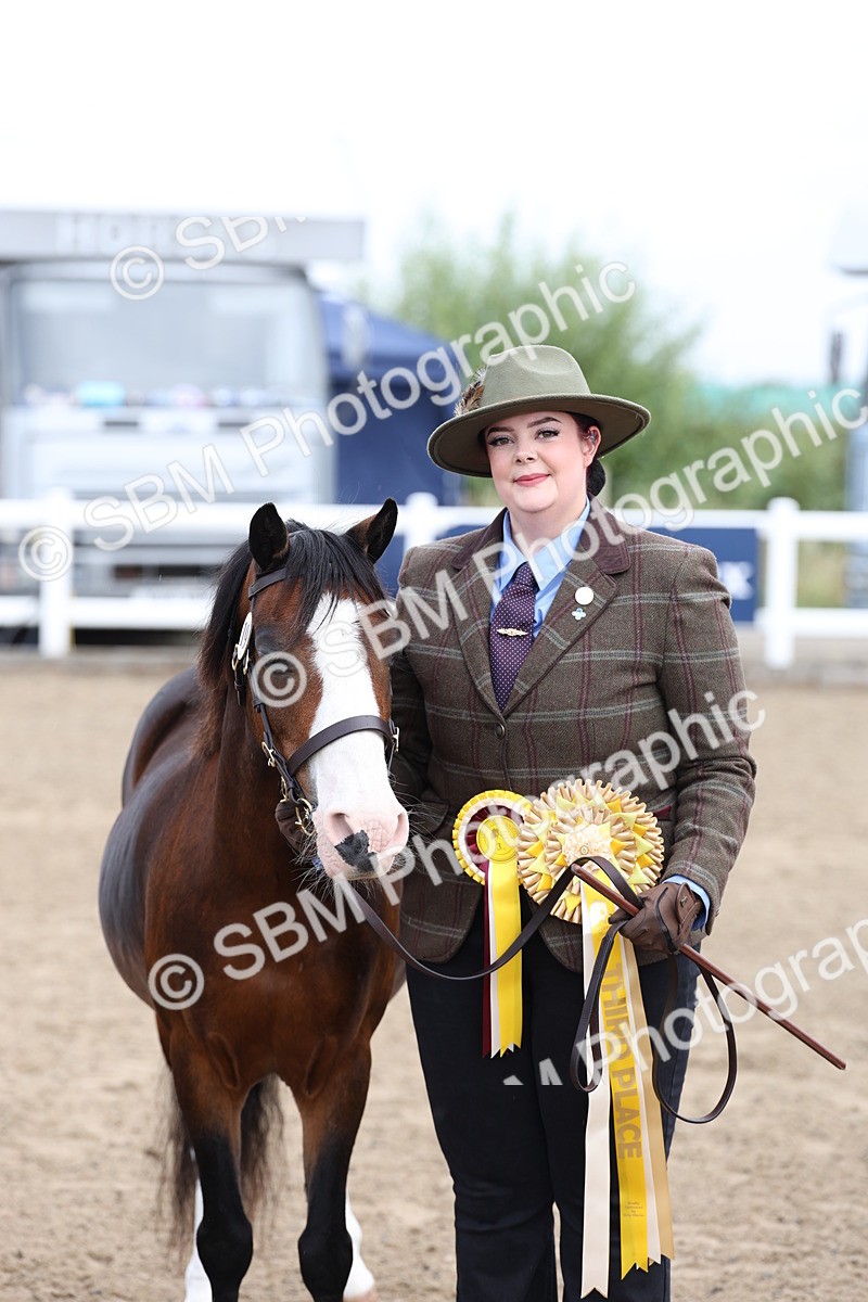 SBM_00109 - Class 50 - Best Turned Out IH