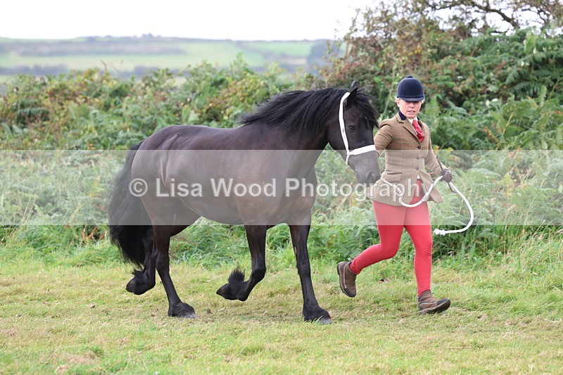 3E7A4551 - Class 16: Best Grass Kept