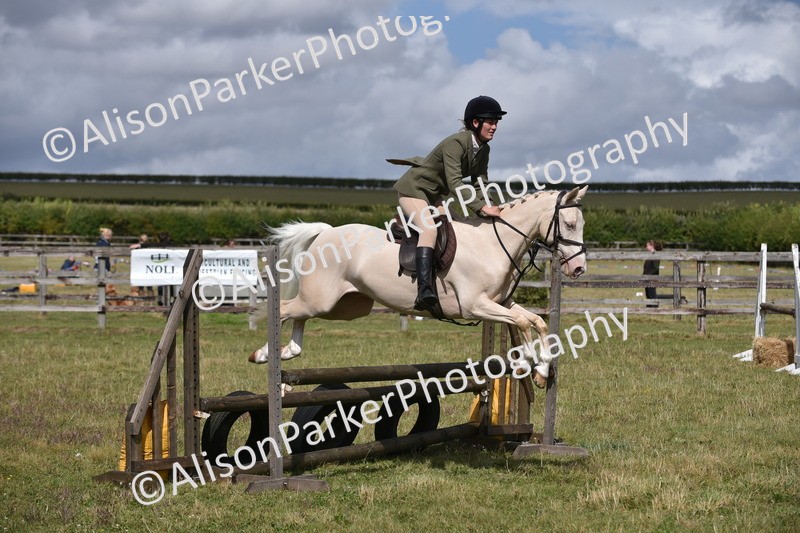 20250831-4080 - Class 13 - Working Hunter Horse or Pony