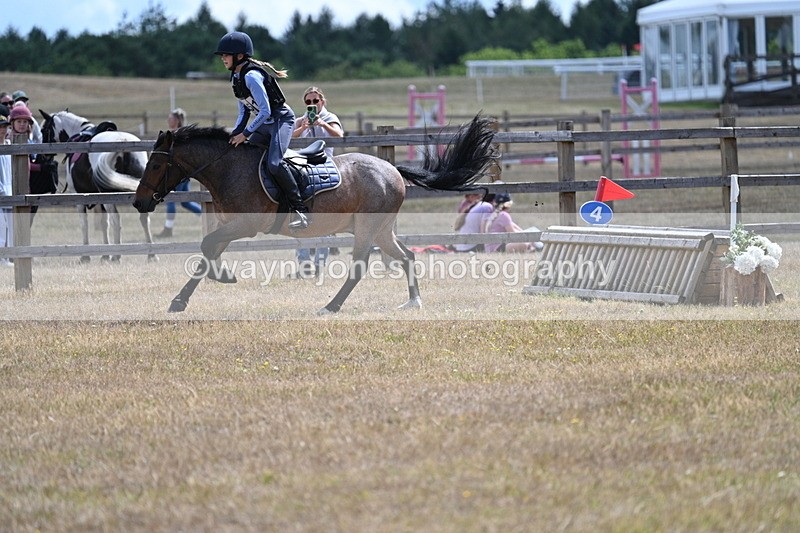 WJ7_0908 - 60cm Time 12:26 to 12:46