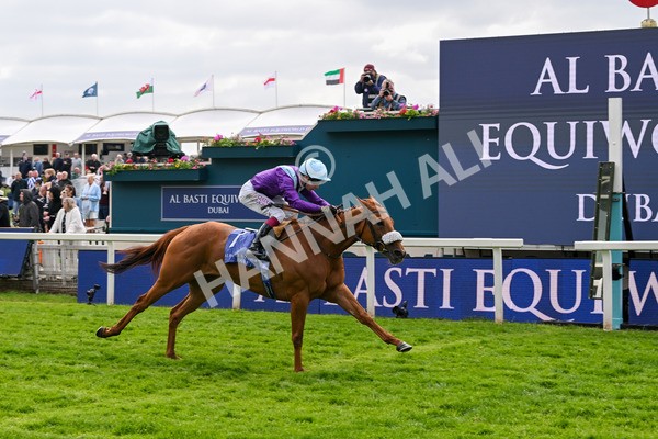 150525-See The Fire-4476 - Race 3 3.13pm Al Basti Equiworld Dubai Middleton Fillies' Stakes