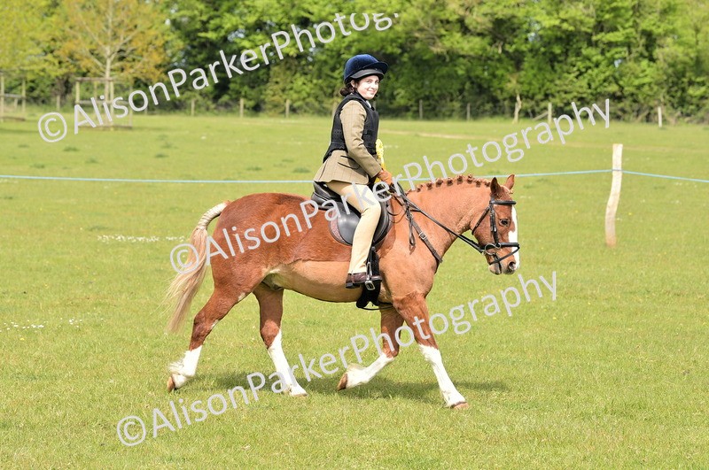 20260426-2355 - Class 20 - Beginner Working Hunter