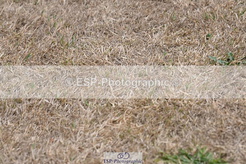 250820A-174154-12192 - Wednesday Presentations