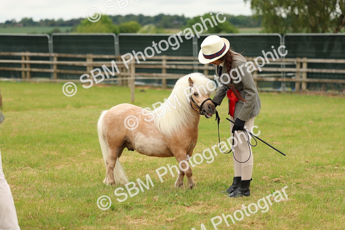 SBM_03519 - Class 58-67 - M&M Non Welsh Pony In hand