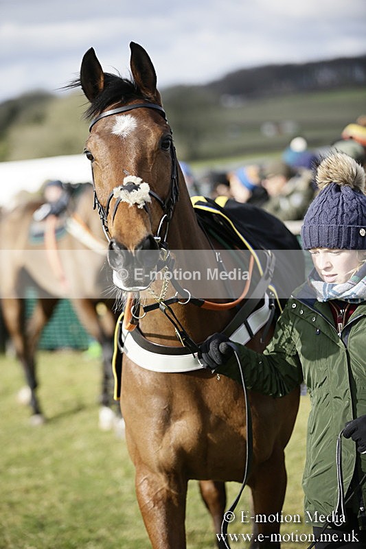 PtP 040218 15 - Point-to-Point Milborne St Andrew 04/02/18