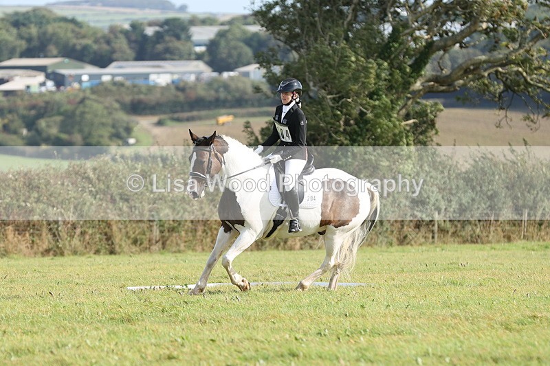 JPP_8123 - Class 2A: Trekenning Open: Dressage
