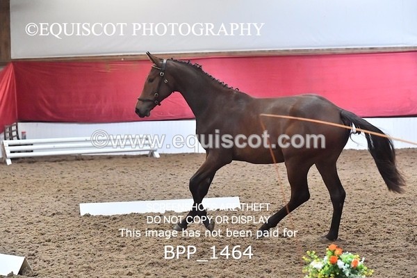 BPP_1464 - MORNING 9AM - 12PM