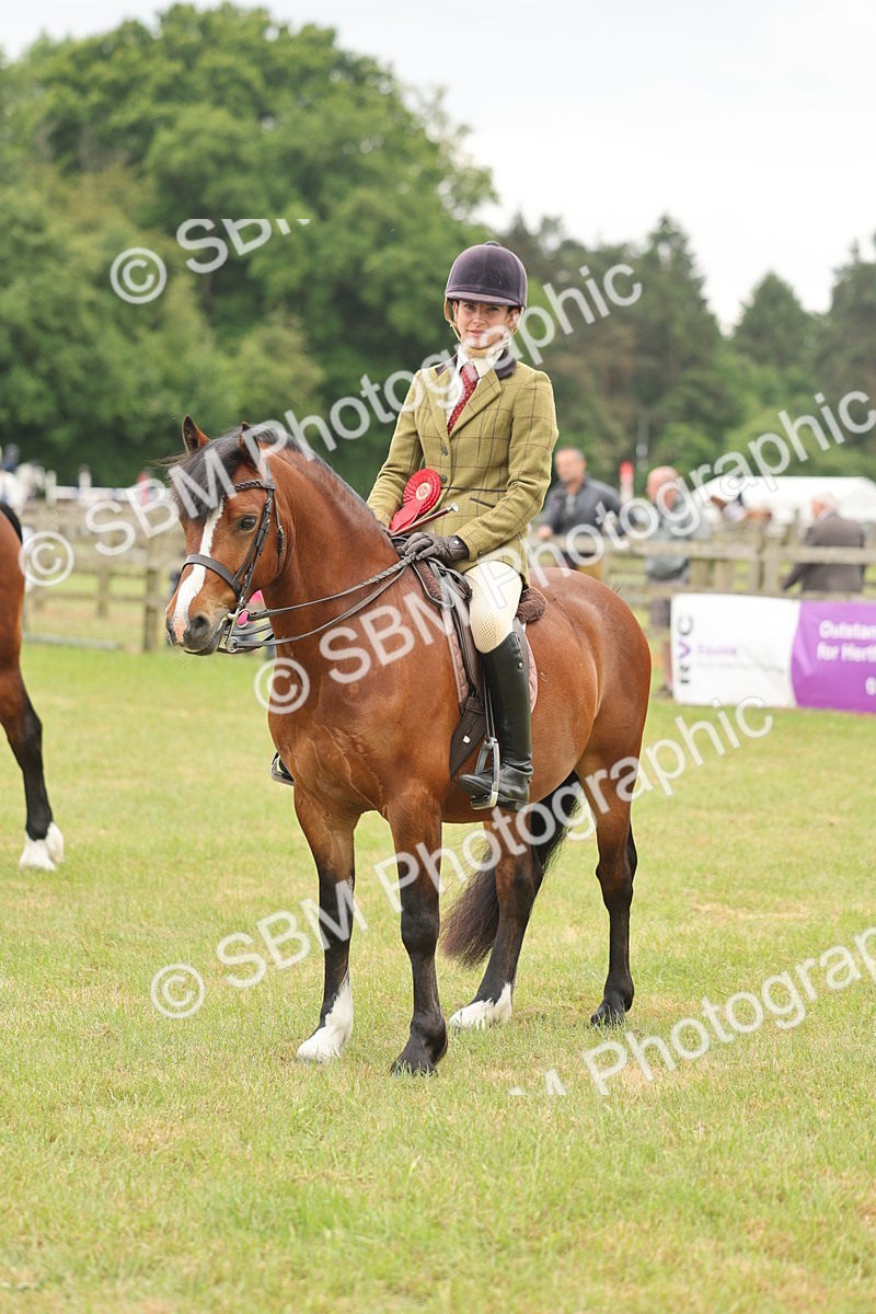 SBM_07261 - Class 76-77 - Ridden M&M Welsh Ponies