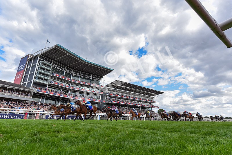220826-Race 4-Daiquiri Bay-6111 - Race 4 15.35pm Sky Bet Ebor Handicap