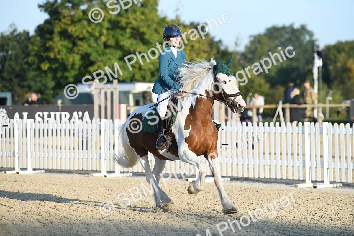 SBM_58010 - J24 - Junior Horse 75cm Championship