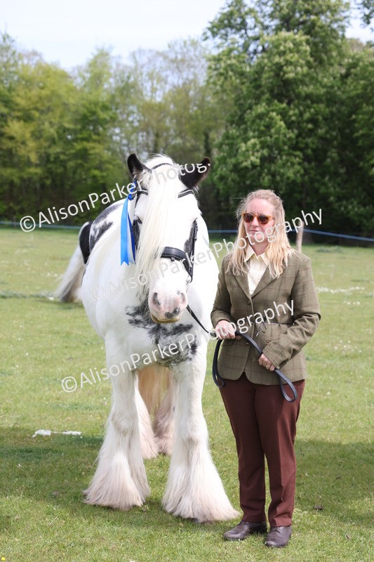 20260426-3370 - Class 27 - Coloured Horses and Ponies