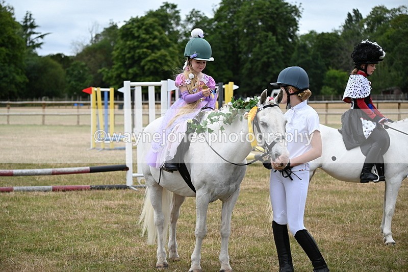 WJ6_5055 - Class 11 Fancy Dress